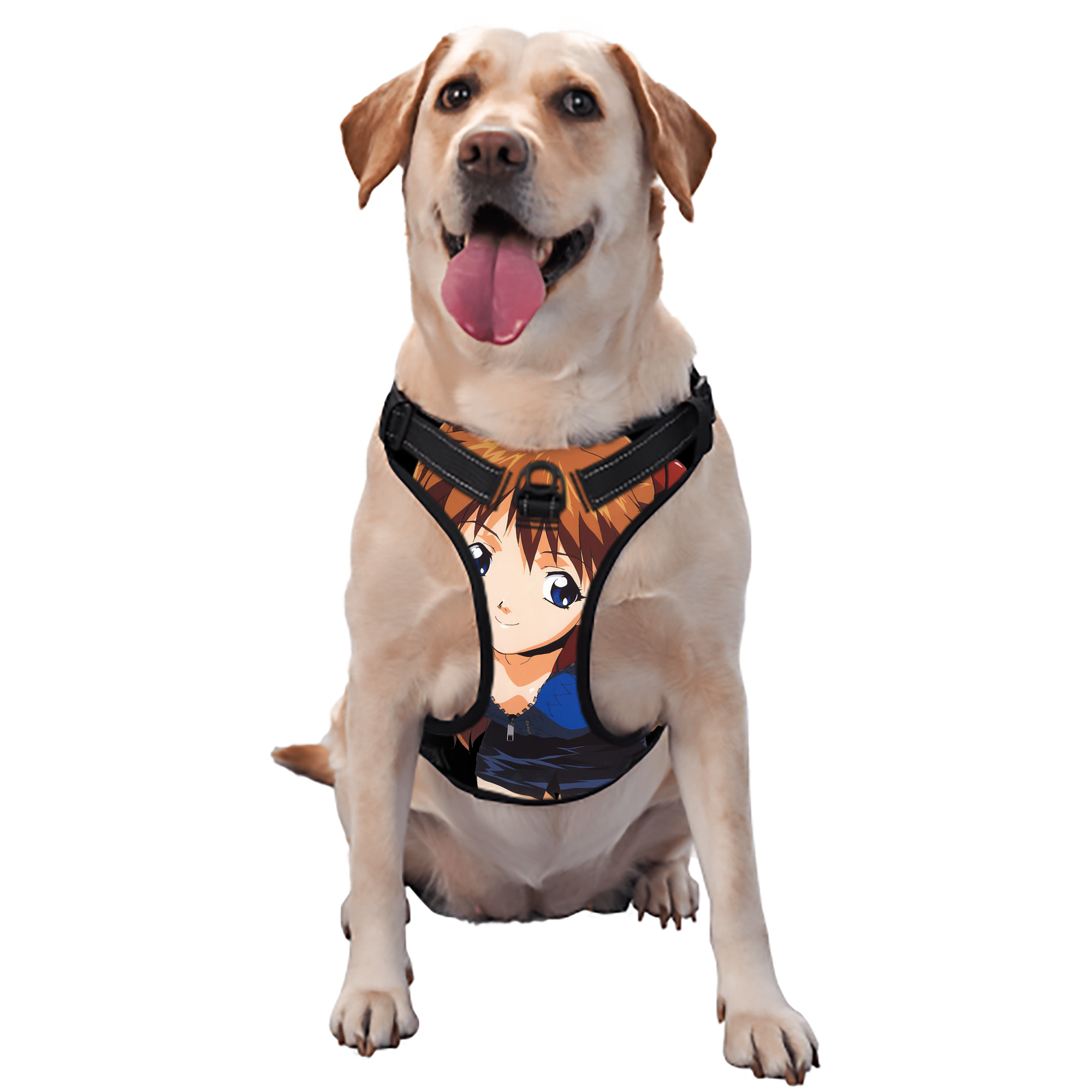 （画像用） EVA 新世紀エヴァンゲリオン ペット用ハーネス
